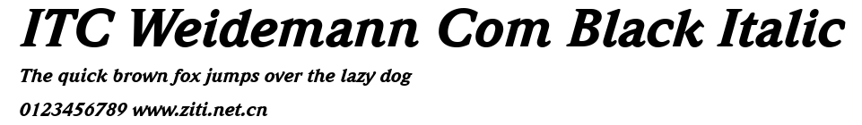 ITC Weidemann Com Black Italic.ttf字體轉換器圖片