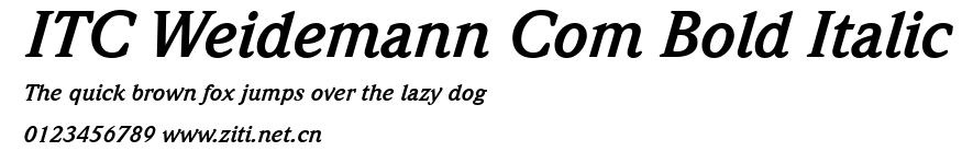 ITC Weidemann Com Bold Italic.ttf字體轉換器圖片