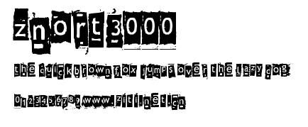 Znort3000.ttf