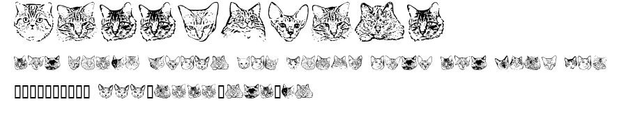 KittyPrint.ttf