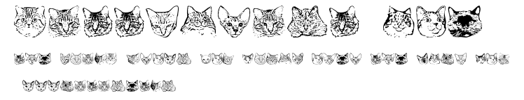 KittyPrint AOE.ttf字體轉換器圖片