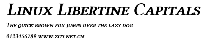 Linux Libertine Capitals.ttf字體轉換器圖片