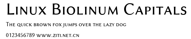 Linux Biolinum Capitals.ttf字體轉換器圖片