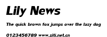 Lily News.ttf字體轉換器圖片