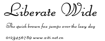 Liberate Wide.ttf字體轉換器圖片