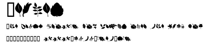 Leaves.ttf字體轉換器圖片
