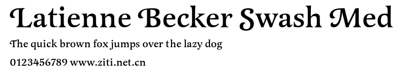 Latienne Becker Swash Med.ttf字體轉換器圖片