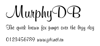 MurphyDB.ttf字體轉換器圖片