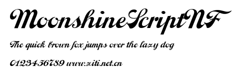 MoonshineScriptNF.ttf字體轉換器圖片