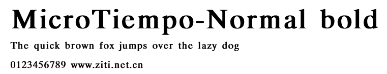 MicroTiempo-Normal bold.ttf字體轉換器圖片