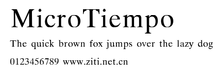 MicroTiempo.ttf字體轉換器圖片