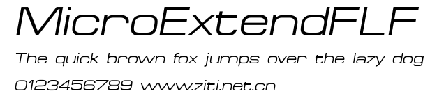 MicroExtendFLF.ttf字體轉換器圖片