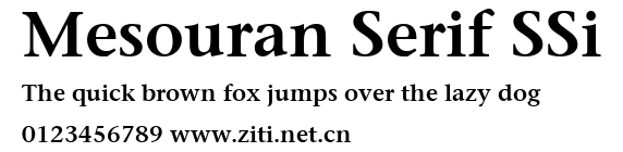 Mesouran Serif SSi.ttf
