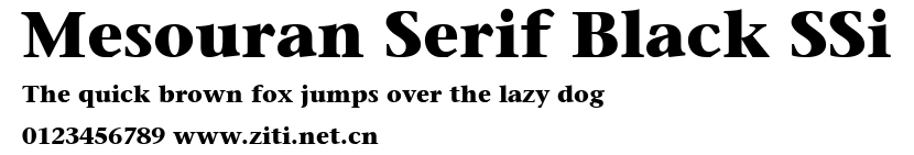 Mesouran Serif Black SSi.ttf