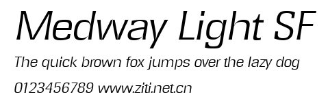 Medway Light SF.ttf