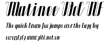 Matinee Idol NF.ttf字體轉換器圖片