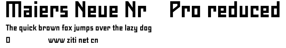Maiers Neue Nr.8 Pro reduced.otf字體轉換器圖片