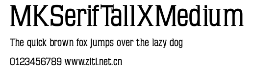MKSerifTallXMedium.ttf字體轉換器圖片