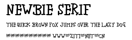 newbie serif.ttf字體轉換器圖片