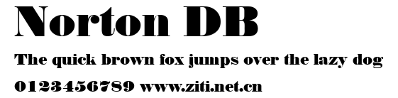 Norton DB.ttf字體轉換器圖片