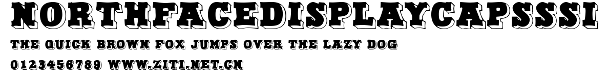 NorthFaceDisplayCapsSSi.ttf