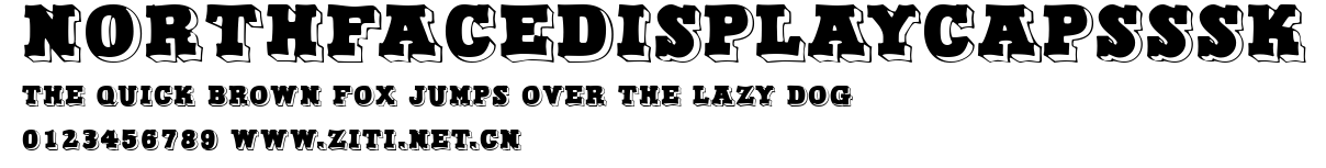NorthFaceDisplayCapsSSK.ttf