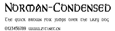 Norman-Condensed.ttf字體轉換器圖片