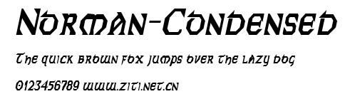 Norman-Condensed.ttf字體轉換器圖片