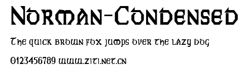 Norman-Condensed.ttf字體轉換器圖片