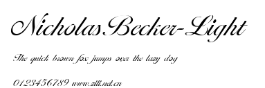 NicholasBecker-Light.ttf字體轉換器圖片
