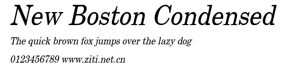 New Boston Condensed.ttf字體轉換器圖片