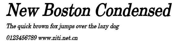 New Boston Condensed.ttf字體轉換器圖片