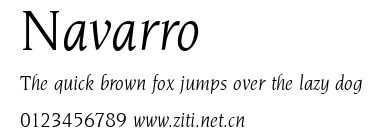 Navarro.ttf字體轉換器圖片