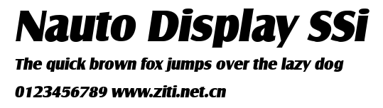 Nauto Display SSi.ttf