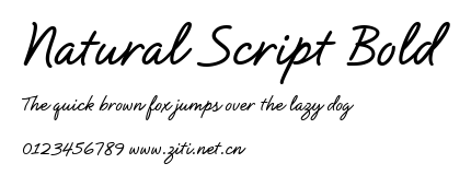 Natural Script Bold.ttf字體轉換器圖片