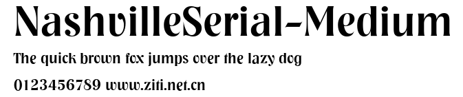 NashvilleSerial-Medium.ttf字體轉換器圖片
