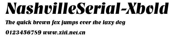 NashvilleSerial-Xbold.ttf字體轉換器圖片