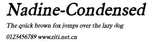 Nadine-Condensed.ttf字體轉換器圖片