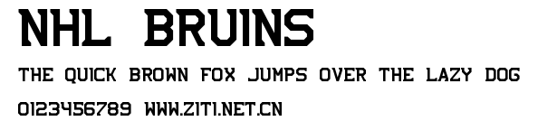 NHL Bruins.ttf字體轉換器圖片