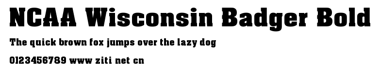 NCAA Wisconsin Badger Bold.ttf字體轉換器圖片
