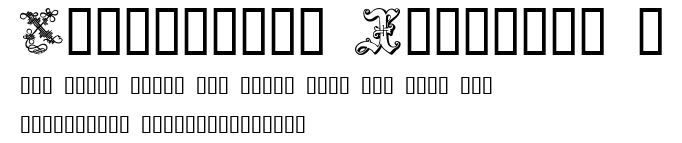 Ornamental Initials X.ttf字體轉換器圖片