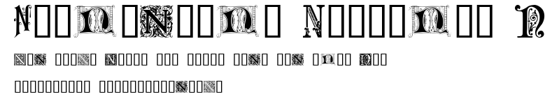Ornamental Initials N.ttf字體轉換器圖片