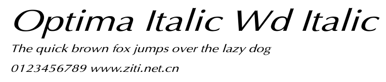 Optima Italic Wd Italic.ttf字體轉換器圖片