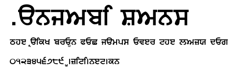 Punjabi Sans.ttf字體轉換器圖片