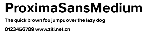 ProximaSansMedium.ttf字體轉換器圖片