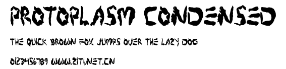Protoplasm Condensed.ttf字體轉換器圖片