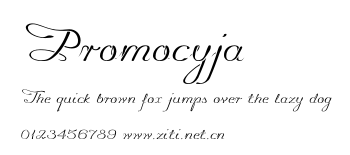 Promocyja.otf字體轉換器圖片
