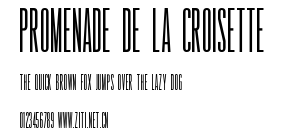 Promenade de la Croisette.ttf字體轉換器圖片