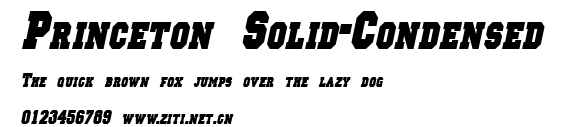 Princeton Solid-Condensed.ttf字體轉換器圖片