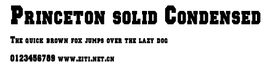 Princeton solid Condensed.ttf字體轉換器圖片